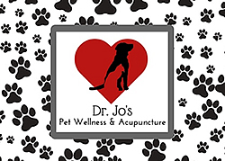 Dr Jo's logo